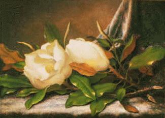 Martin Johnson Heade Giant Magnolias oil painting picture